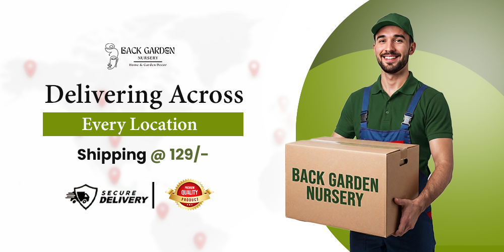 Shop Pot and Planters Online | Buy Indoor Flower Pots promo