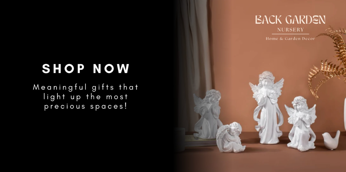 Shop Pot and Planters Online | Buy Indoor Flower Pots promo