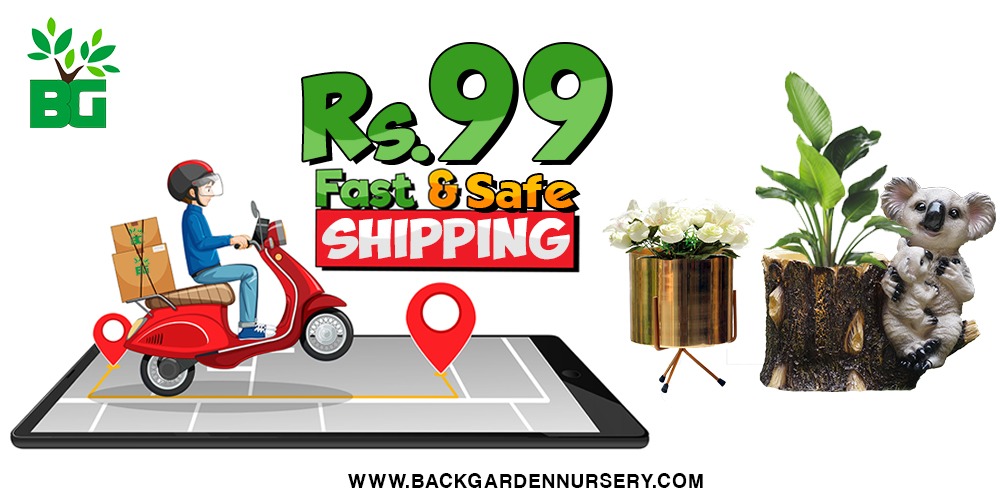 Shop Pot and Planters Online | Buy Indoor Flower Pots promo