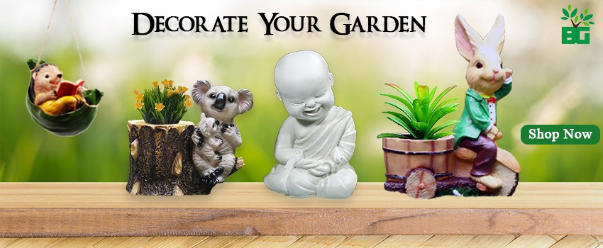 HOME & Garden Decor
