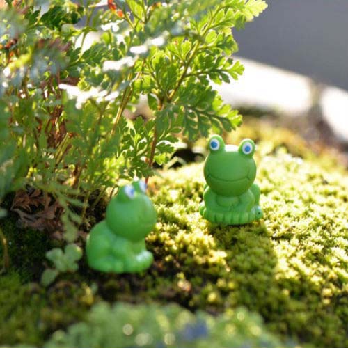 Mini Frog Animal Figurine set of 2 - Back Garden Nursery
