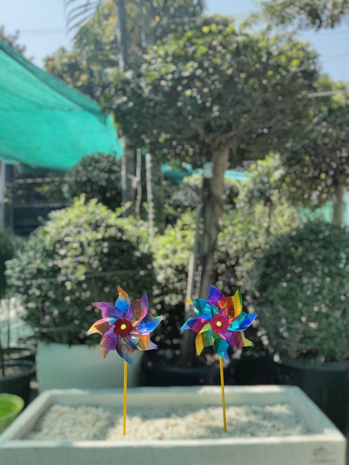 Glossy Striped Flower Windmill Wind Spinner/ Home/ Garden Windmill/ Back Garden Nursery