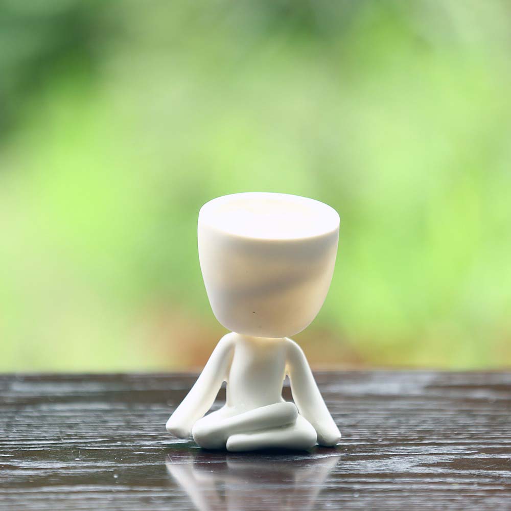 Unique Succulent Yoga planter - Back Garden Nursery