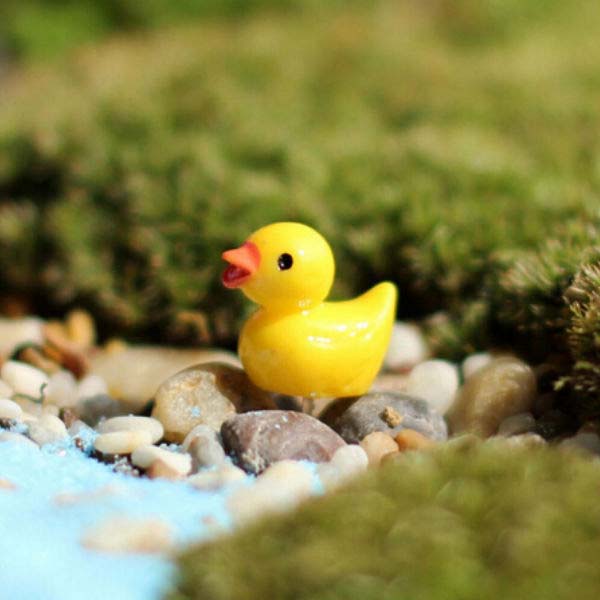 Mini Duck Fairy Garden Miniature Pops Set of 10 - Back Garden Nursery