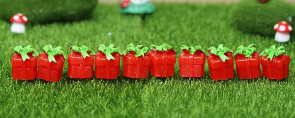 Tiny Gift  Miniature Decor (Set of 10)- Back Garden Nursery
