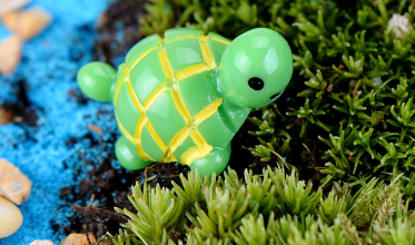 Mini Sea Turtle Fairy Garden Set of 4 - Back Garden Nursery