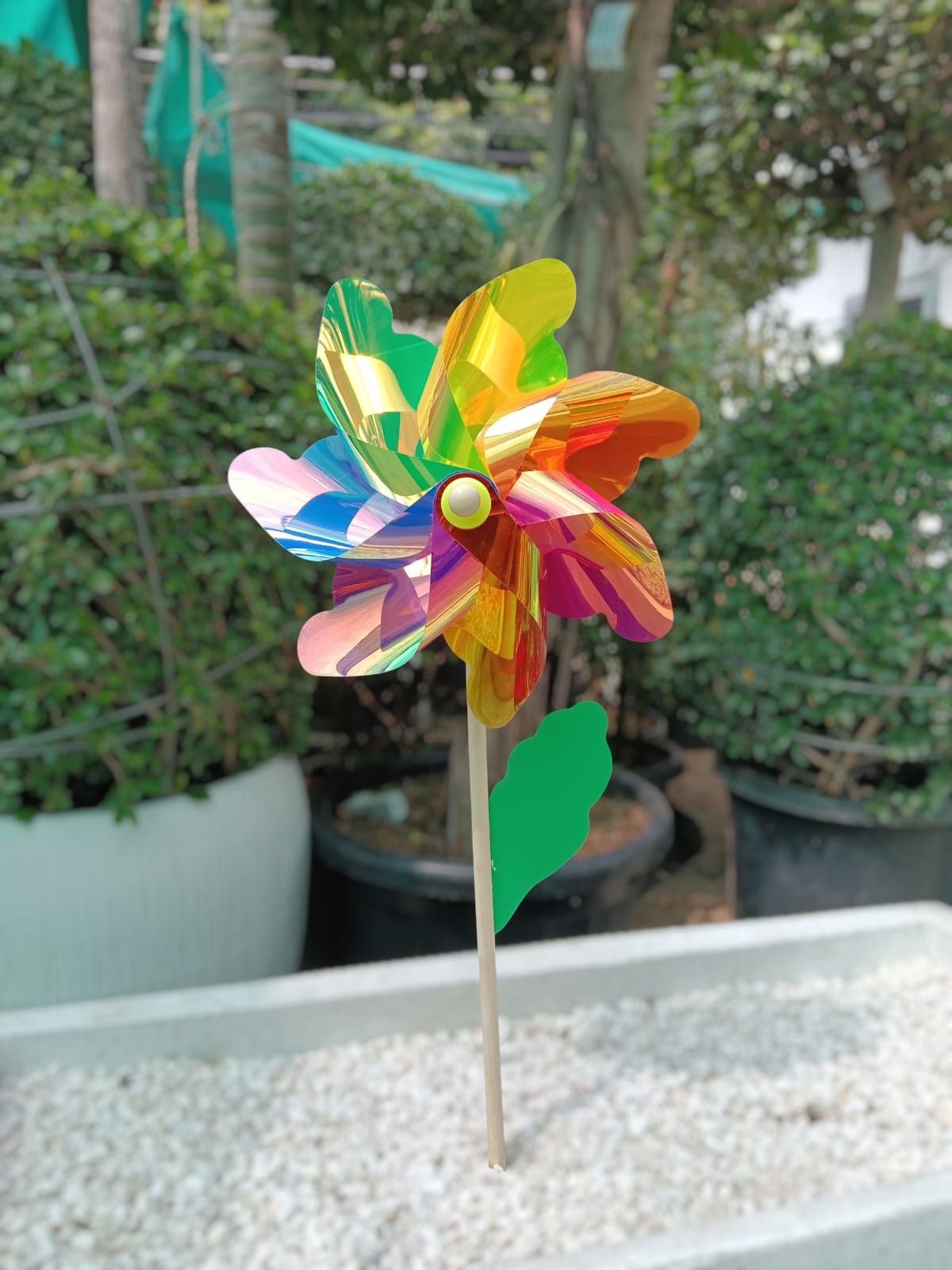 Decorative Flower Windmill Spinner- Back Garden Nursery