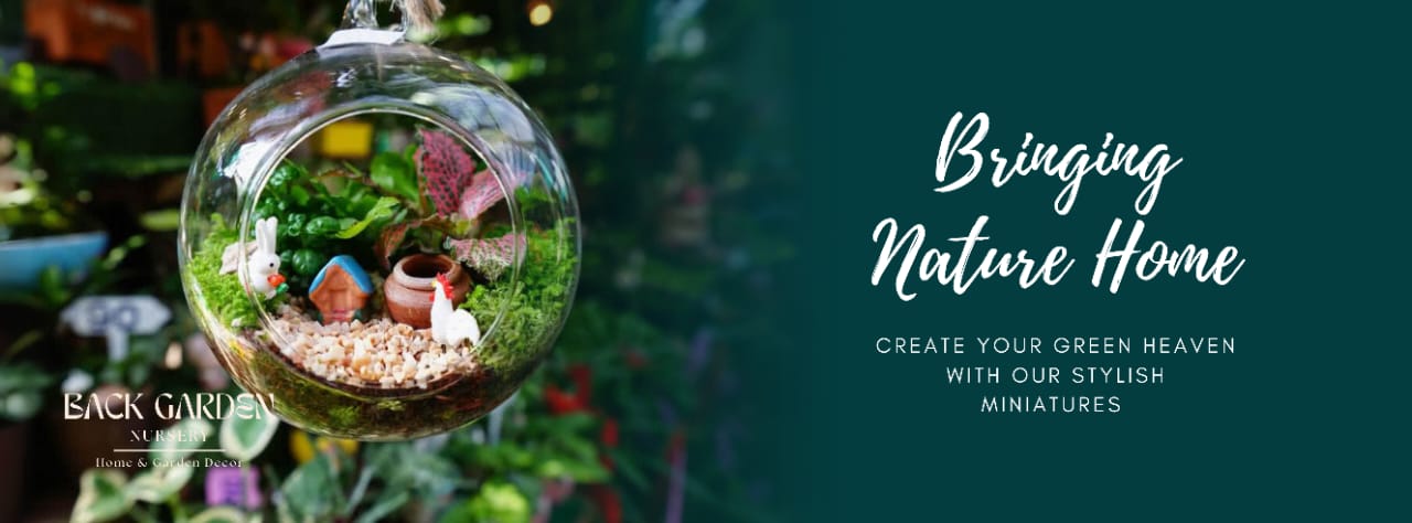 Shop Pot and Planters Online | Buy Indoor Flower Pots promo